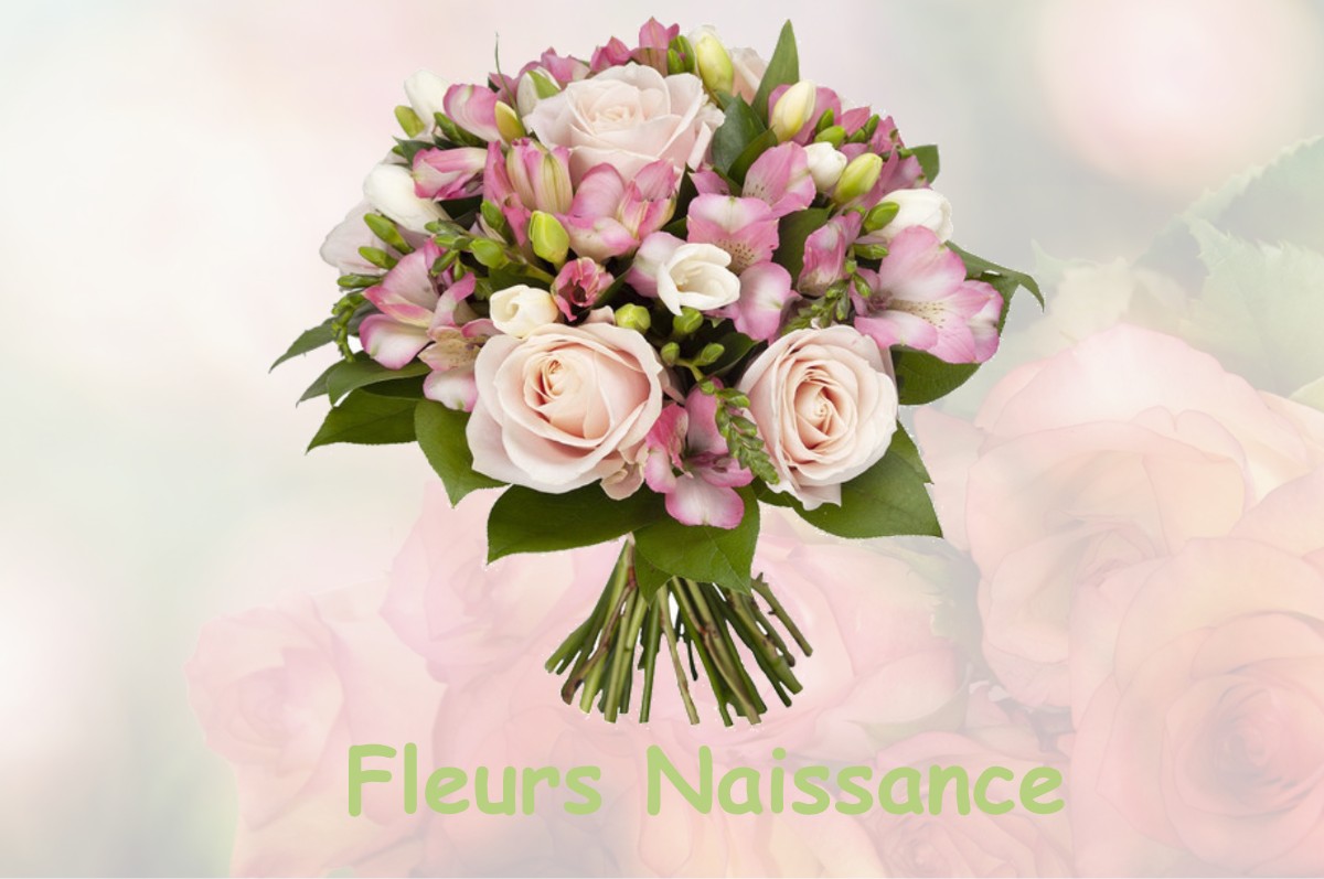 fleurs naissance BAZEILLES-SUR-OTHAIN