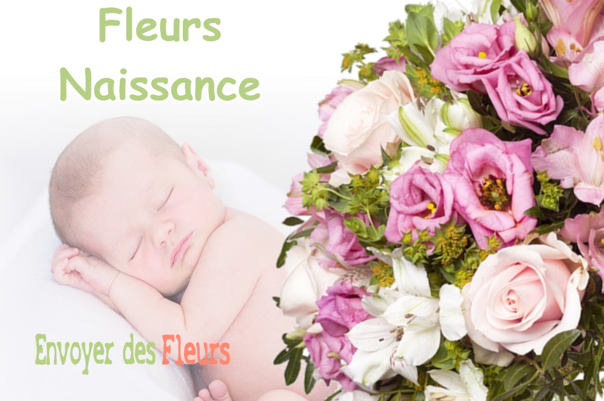 lIVRAISON FLEURS NAISSANCE à BAZEILLES-SUR-OTHAIN